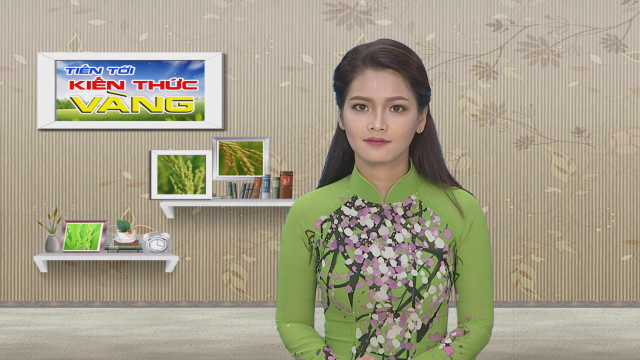 Tiến tới kiến thức vàng 01-07-2016