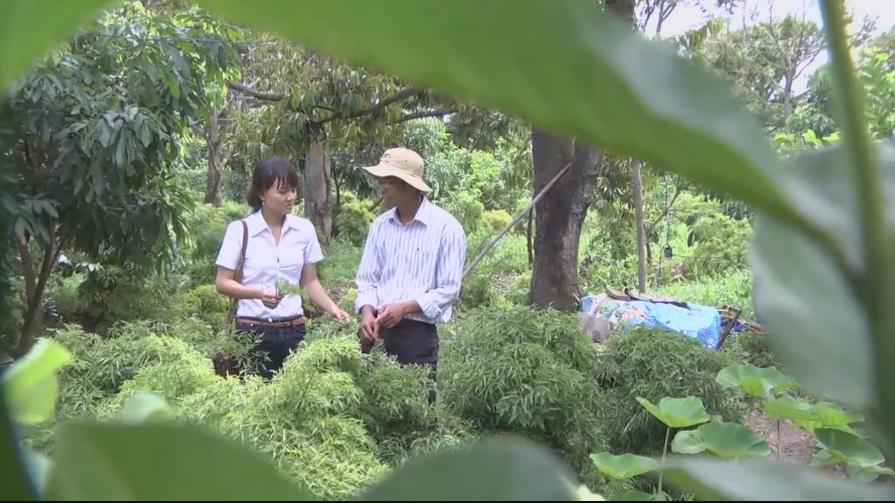 Chương trình tiếng Hoa 11-07-2016