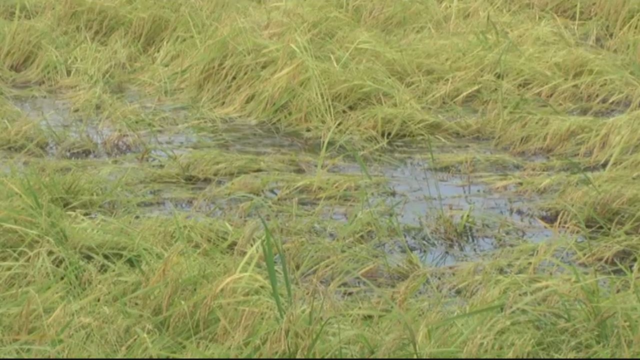 Đồng hành và chia sẻ 11-07-2016