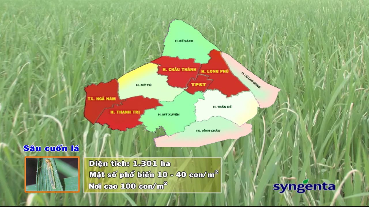 Thông tin dịch hại Nông nghiệp 13-07-2016