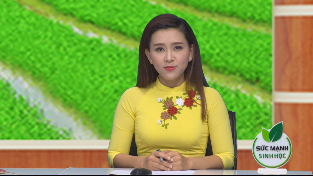 Chương trình tọa đàm Sức mạnh sinh học-Giúp lúa nẩy chồi khỏe 14-07-2016
