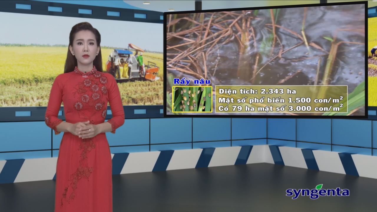 Thông tin dịch hại Nông nghiệp 21-07-2016