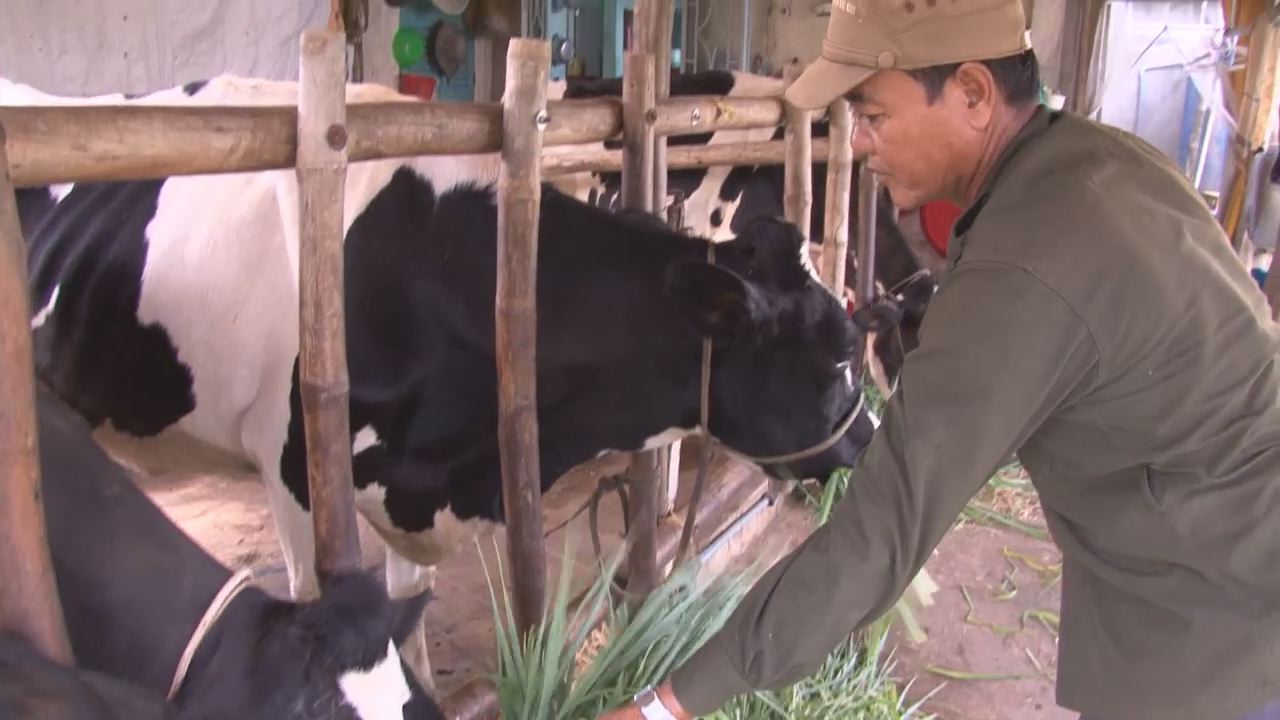 Thông tin đối ngoại 23-07-2016