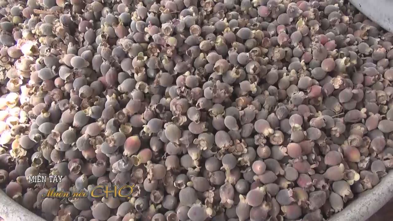 Miền tây muôn nẻo chợ-Phong phú hải sản chợ Dương Đông 27-07-2016