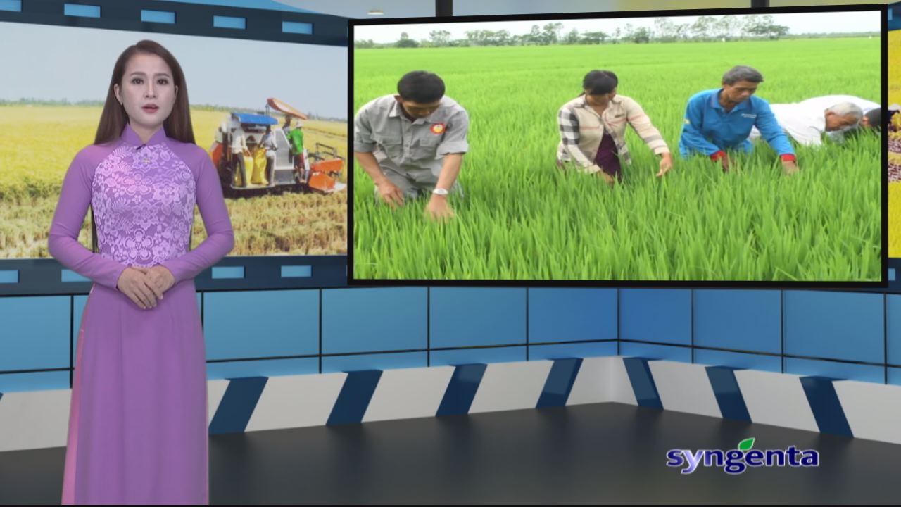 Thông tin dịch hại Nông nghiệp 27-07-2016