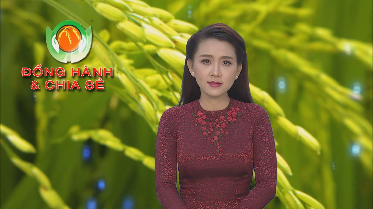 Đồng hành và chia sẽ 08-08-2016
