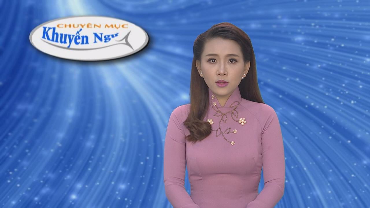 Khuyến Ngư 09-08-2016