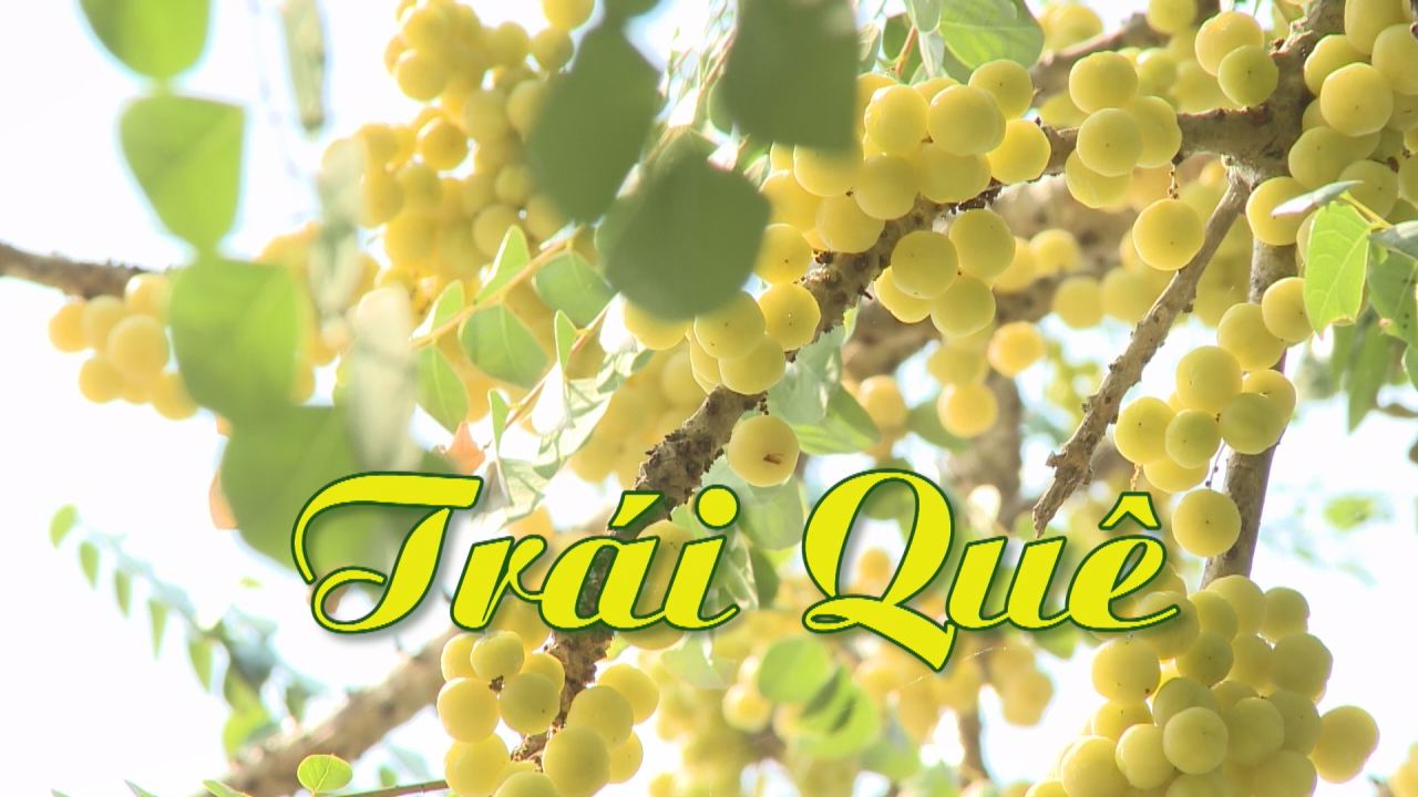 Nét Việt - Trái quê 07-09-2016