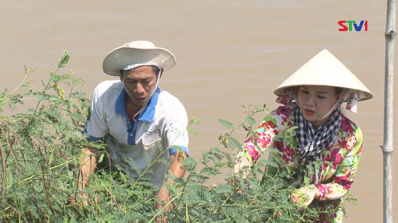 Vua đầu bếp miệt vườn 16-10-2016