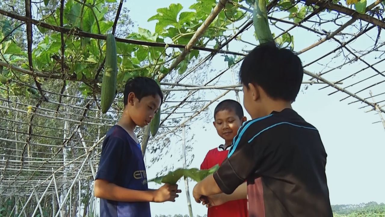 Nét Việt - Gói cả tuổi thơ 17-10-2016