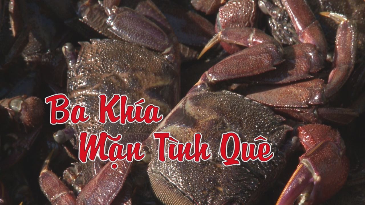 Ba khía mặn tình quê 31-10-2016