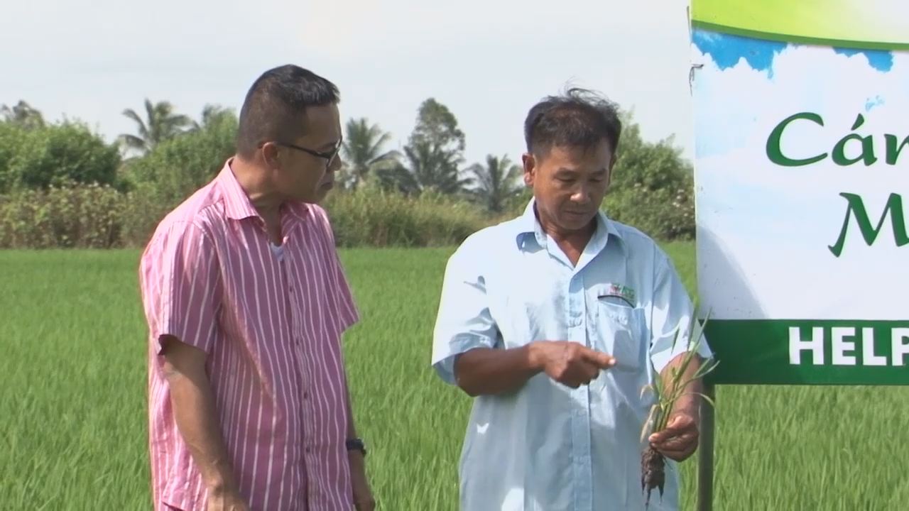 Cánh đồng ước mơ 02-11-2016