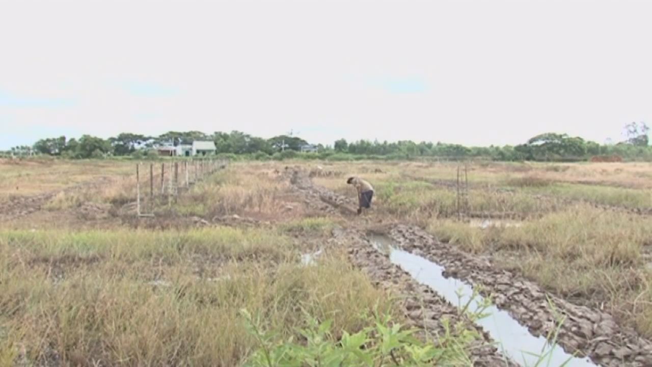 Tài nguyên môi trường 03-11-2016