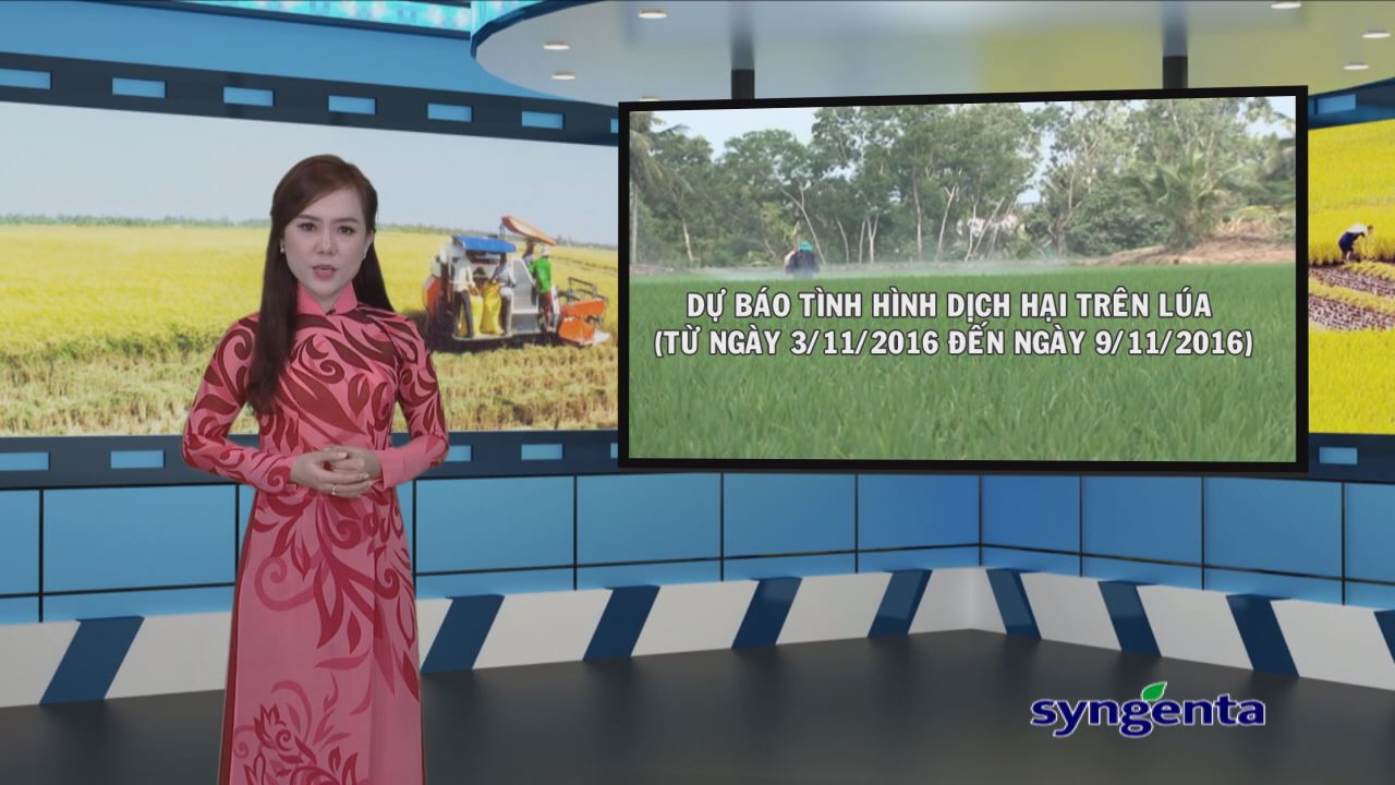Thông tin dịch hại Nông nghiệp 02-11-2016