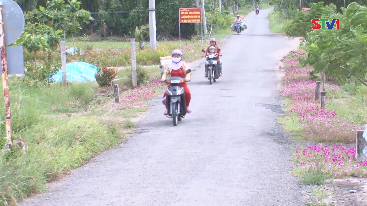 Trang tin địa phương thị xã Vĩnh Châu 13-11-2016