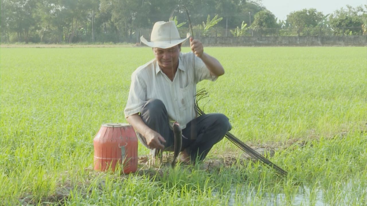 Nét Việt - Công cha như núi thái sơn 29-11-2016