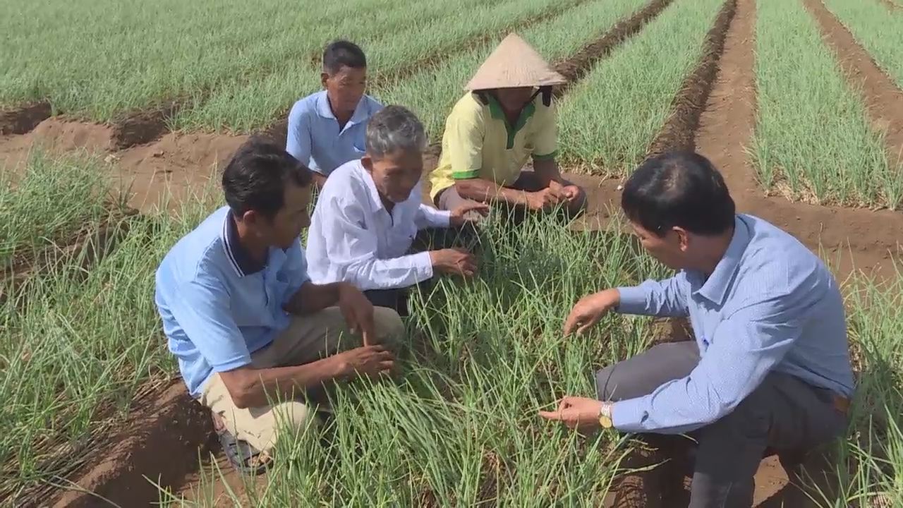 Khuyến nông 29-11-2016