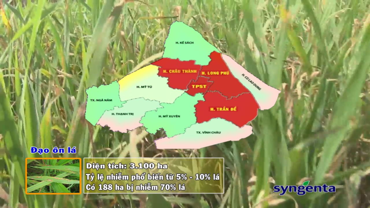 Thông tin dịch hại Nông nghiệp 30-11-2016
