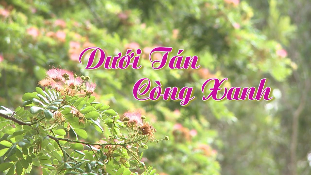 Nét Việt - Dưới tán còng xanh 12-12-2016