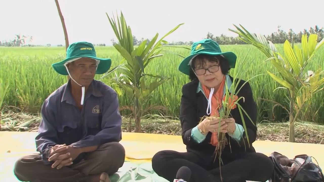 Tiến tới kiến thức vàng 16-12-2016