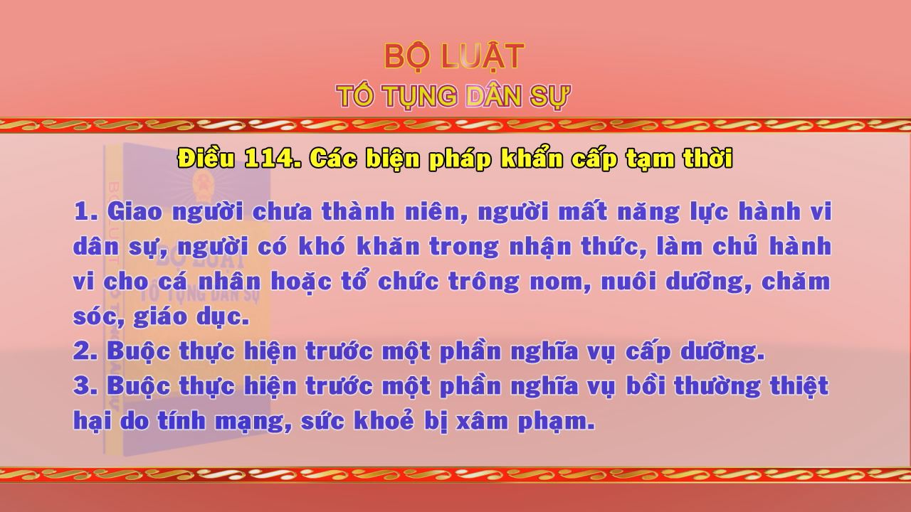 Giới thiệu Pháp luật Việt Nam 25-12-2016