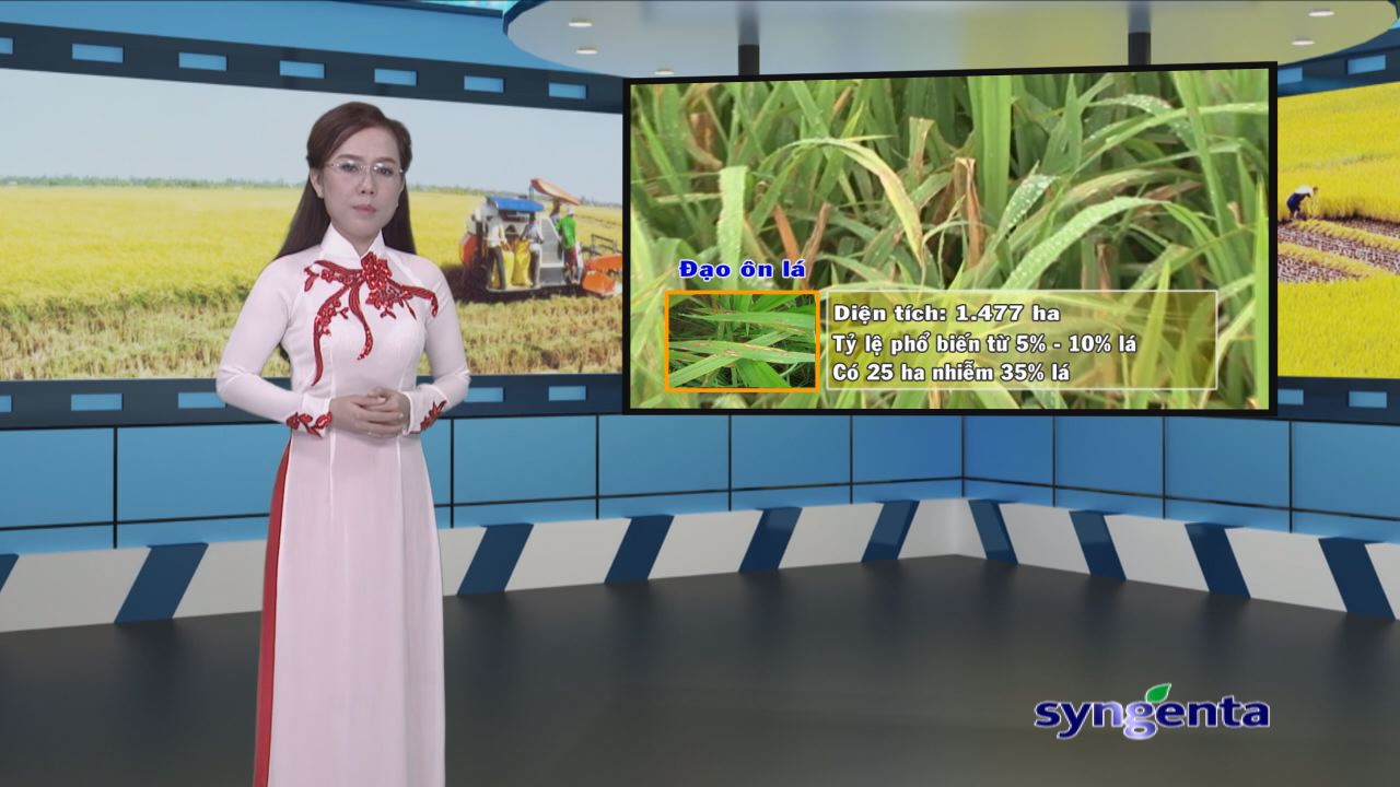 Thông tin dịch hại Nông nghiệp 14-12-2016