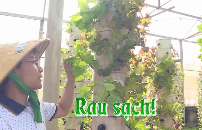 STV khám phá - Một ngày tuyệt vời ở nông trại giữa lòng thành phố (27-02-2021)