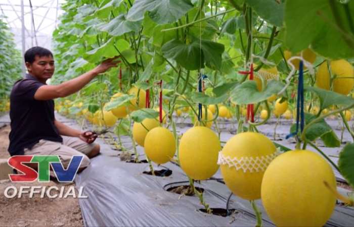 Sức sống mới của huyện Long Phú