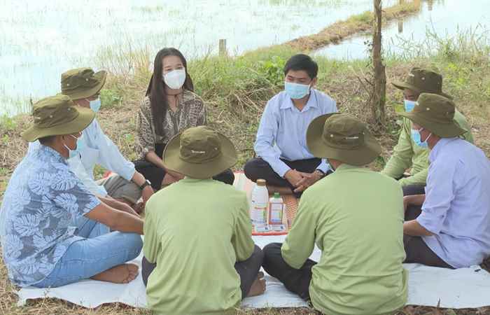 Syngenta và tôi: Sofit – Cruiser sạch cỏ sung chồi (12-04-2022)