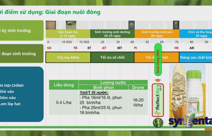 Syngenta và Tôi:  Reflect Xtra đồng hành cùng cây lúa trong giai đoạn nuôi đòng (22-11-2022)