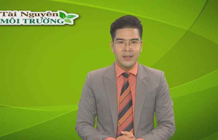 Tài nguyên môi trường 05-12-2019