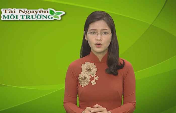 Tài nguyên môi trường 06-09-2018