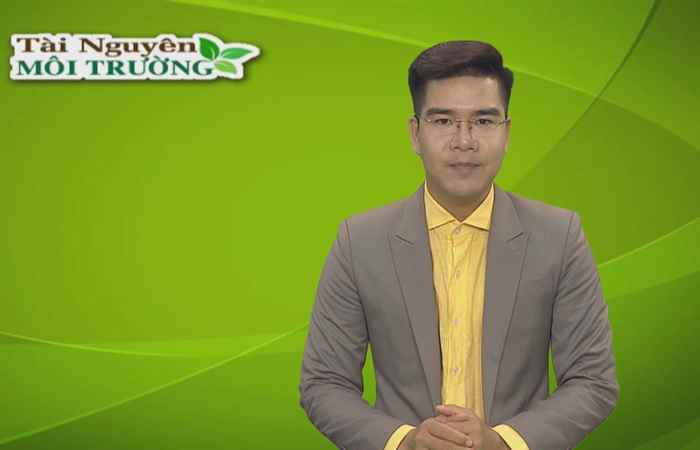 Tài nguyên môi trường 06-12-2018