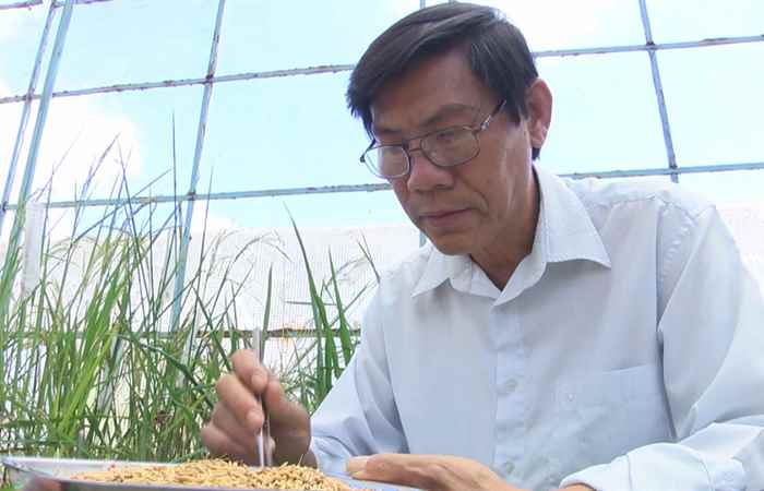 Tấm gương điển hình trong phong trào thi đua