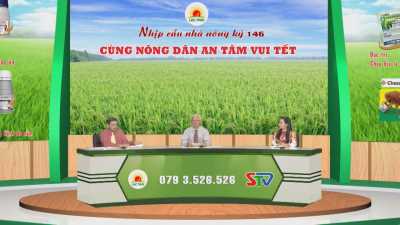 Nhịp cầu nhà nông lần 146-Cùng nông dân an tâm vui tết 04-02-2016