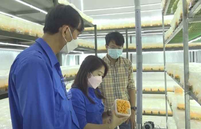 Dấu ấn một nhiệm kỳ của Thanh niên Long Phú  