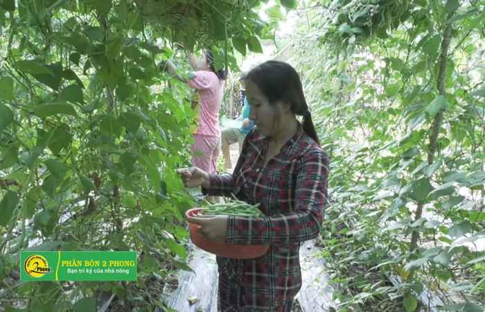 Thạnh Quới hướng tới xây dựng thành công xã NTM  22-06-2019