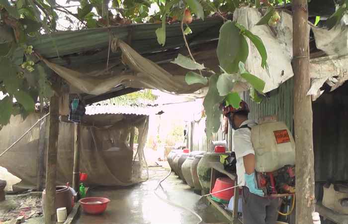 Thạnh Trị chủ động phòng chống dịch bệnh trên gia súc, gia cầm