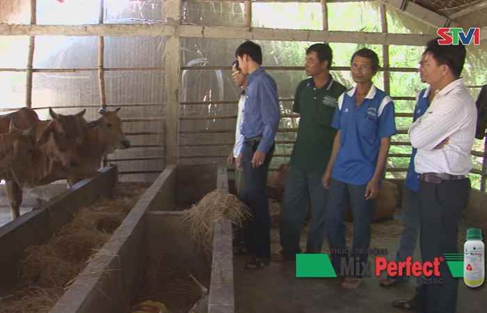 Thạnh Trị đẩy mạnh tái cơ cấu ngành nông nghiệp gắn với xây dựng nông thôn mới