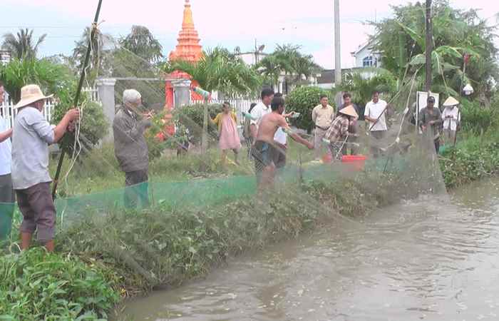 Thạnh Trị có 56.800ha trồng lúa đặc sản