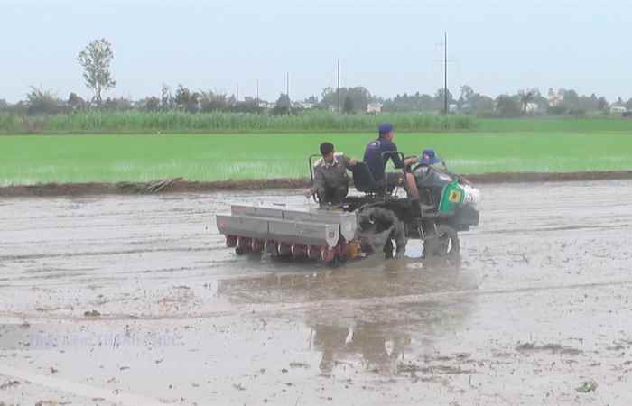 Huyện Thạnh Trị: Thao diễn máy sạ lúa theo cụm và kết hợp vùi phân