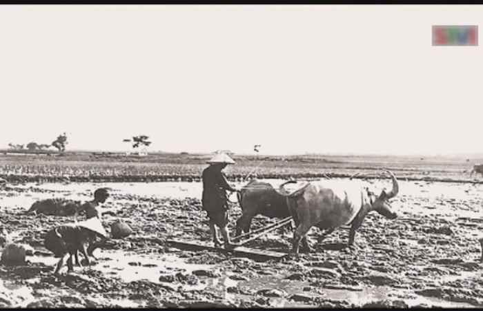Theo dòng thời gian  tiếng Khmer (11-04-2021)