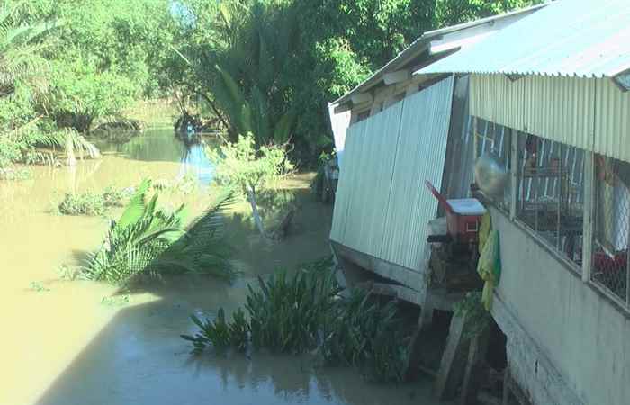 Thời sự 18h30 (01-08-2019)