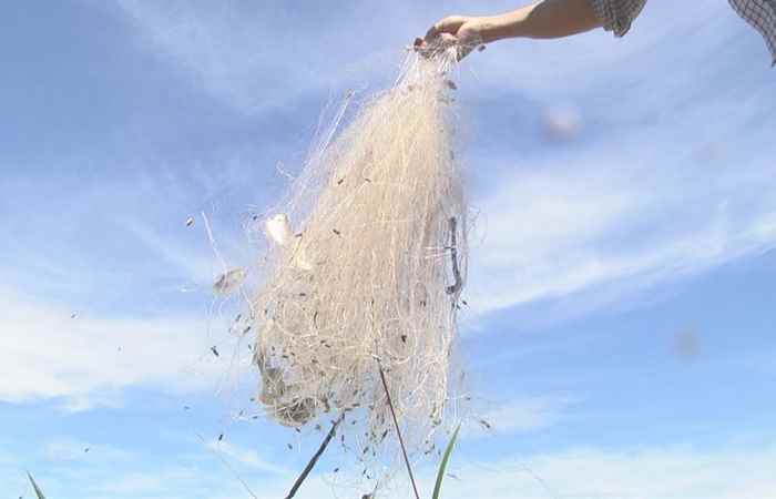 Thời sự chiều (04-10-2020)