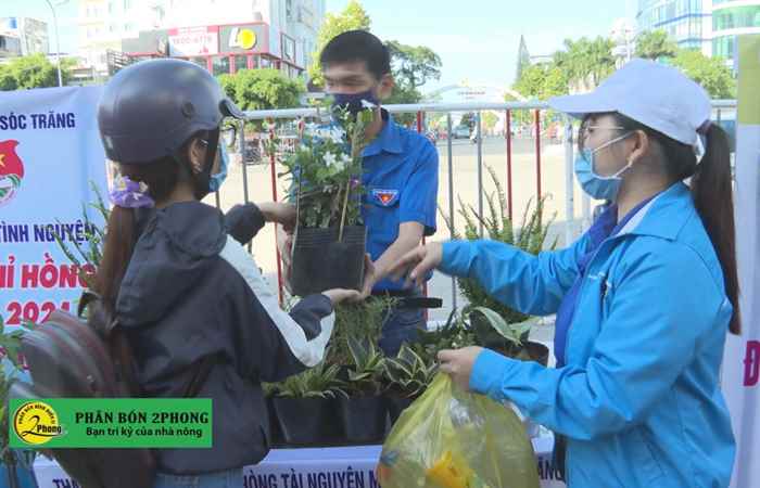 Thời sự chiều (05-06-2021)