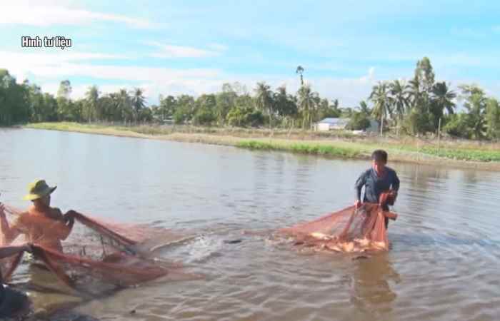 Thời sự chiều (09-05-2021)