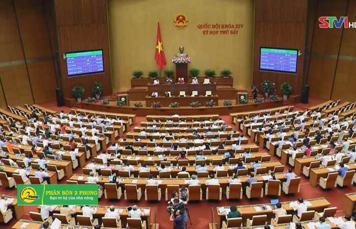 Thời sự chiều 11-06-2019