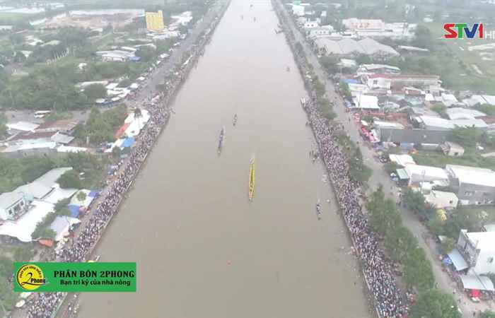 Thời sự chiều 11-11-2019