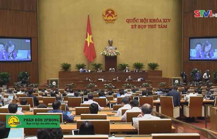Thời sự chiều 13-11-2019