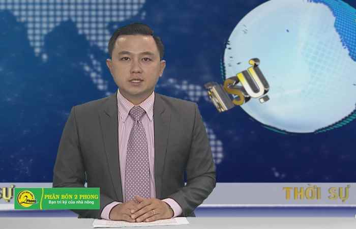 Thời sự chiều 26-03-2019